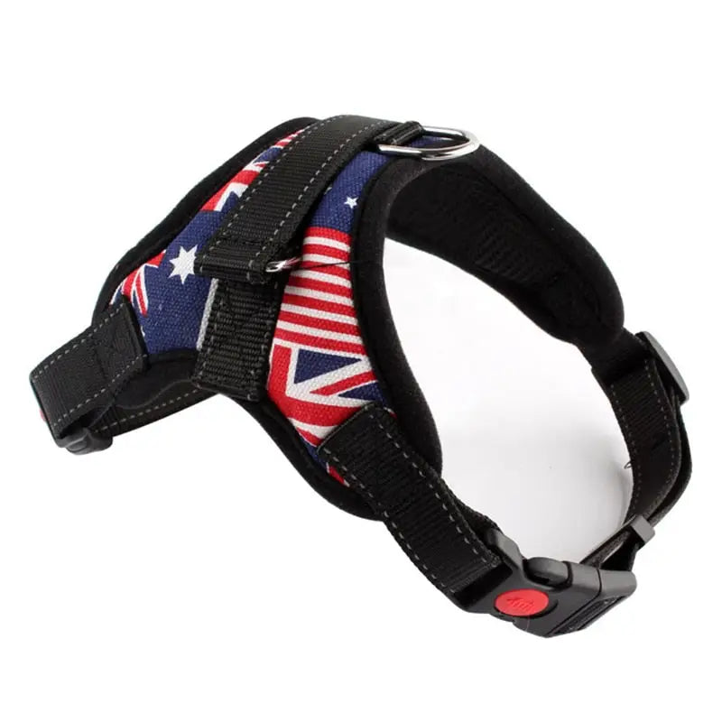 Harnais pour Berger Australien