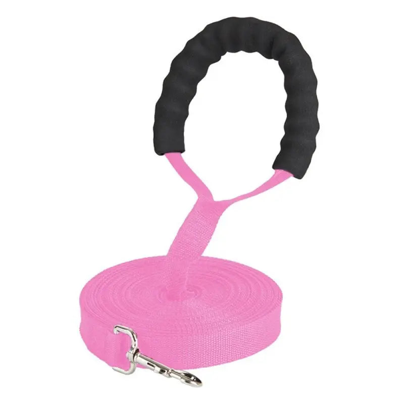 Longue laisse pour chien