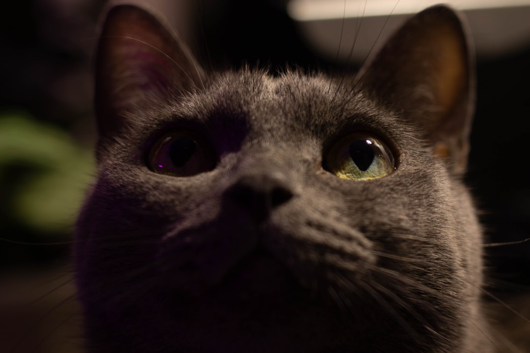 Wetenschappelijk verklaard hoe de kater je lichaam beïnvloedt