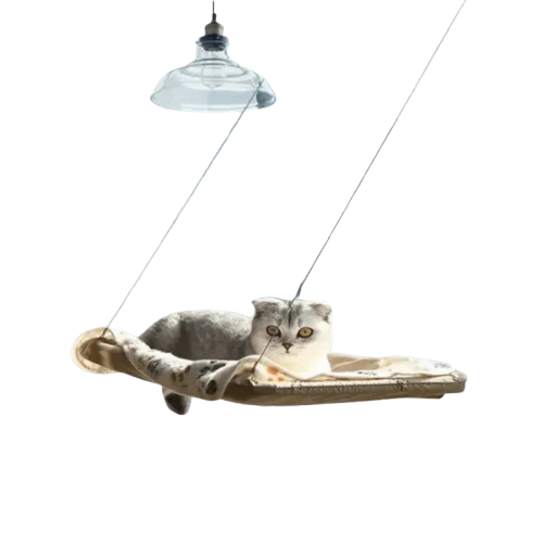 Chat se prélassant sur un lit Hamacat : le coin douillet par excellence pour votre ami à quatre pattes Transparent Background