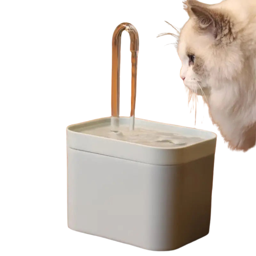 Chat buvant de l’eau dans une fontaine automatique Transparent Background