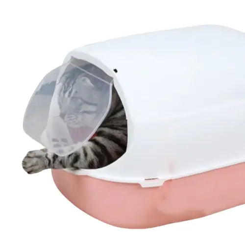 Litière pour chat Transparent Background