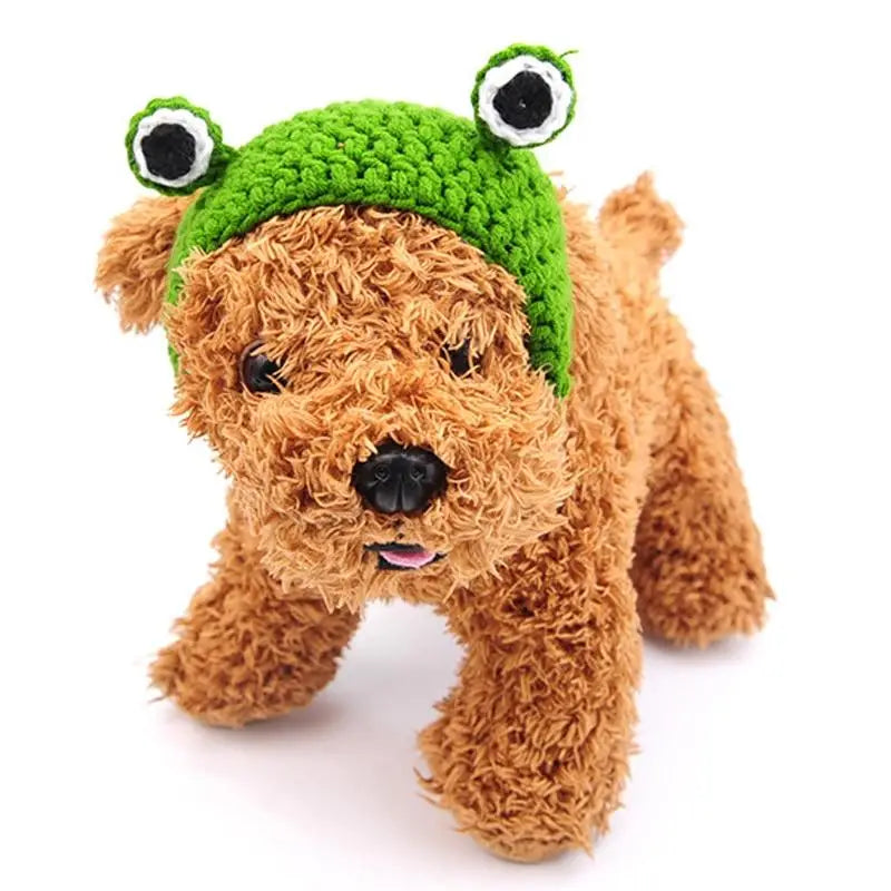 Bob pour Chien au Crochet Yeux Verts