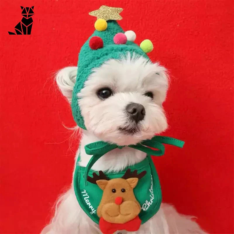 Petit chien blanc coiffé d’un bonnet et d’une écharpe de Noël verts - accessoire festif du Père Noël