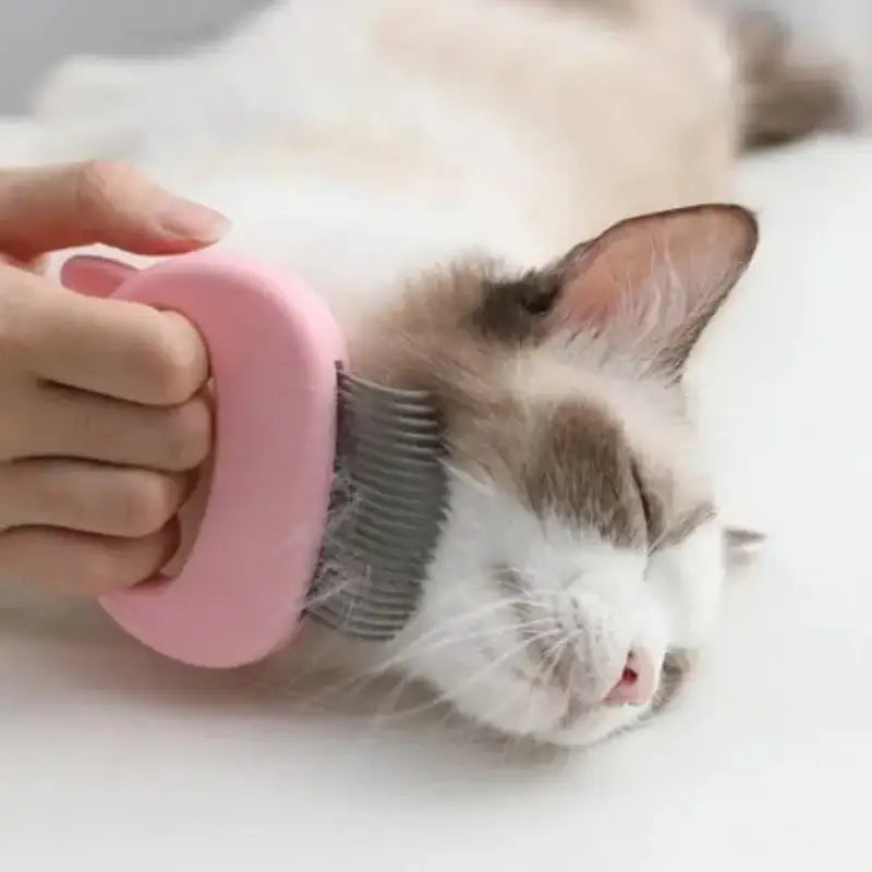 Brosse Pour Chats: Spécialement Conçue Pour Félins Difficiles Et Massage Délicat