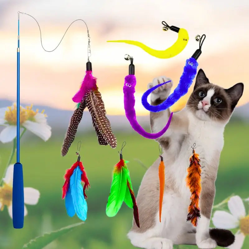 La canne magique pour chat ❘ Magicanne™