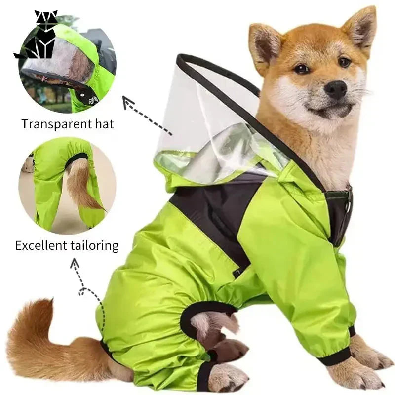 Imperméable pour chien avec capuche, protection optimale contre la pluie - Capuche transparente pour chiens