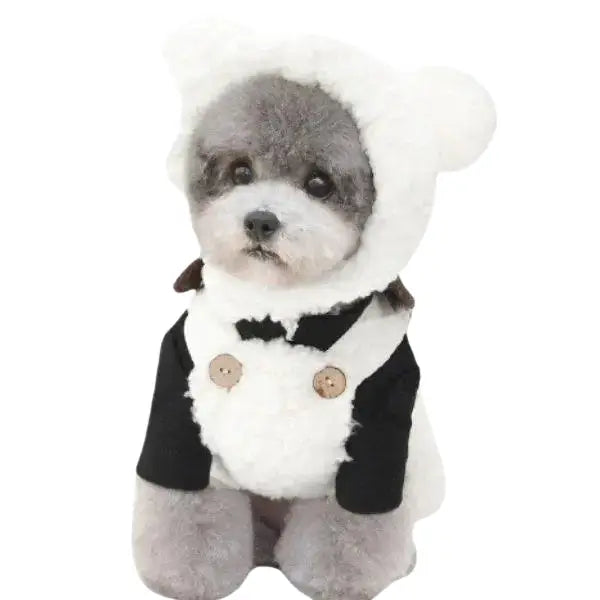 Bonnet pour Chien Oreilles & Costume Transparent Background