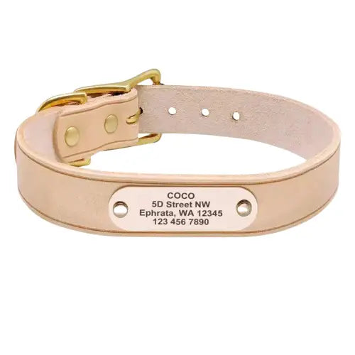 Collier chien cuir large gravé Transparent Background