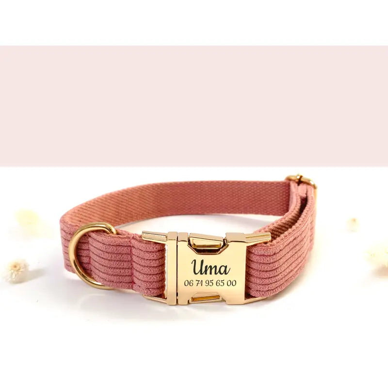 Collier Chien Personnalisé Velours Côtelé Corail