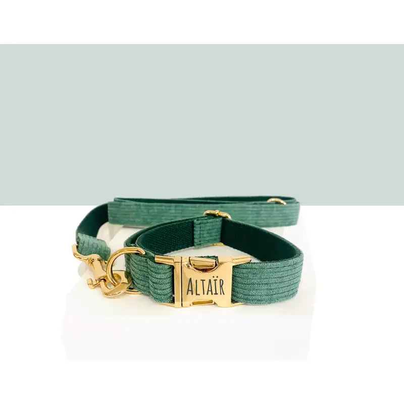 Collier Chien Personnalisé Velours Côtelé Vert