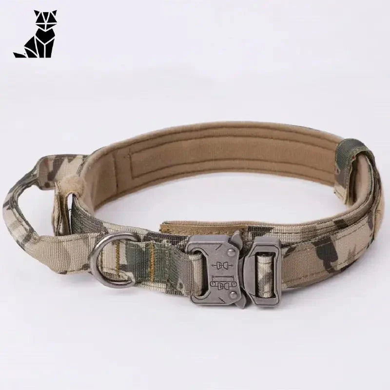 Collier pour Malinois