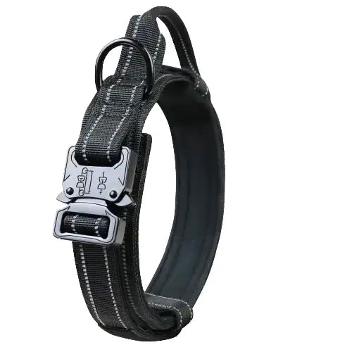 Collier pour Rottweiler Transparent Background