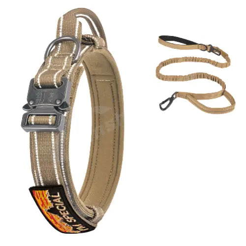 Collier pour Rottweiler
