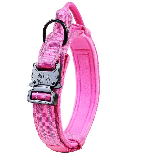 Collier pour Rottweiler