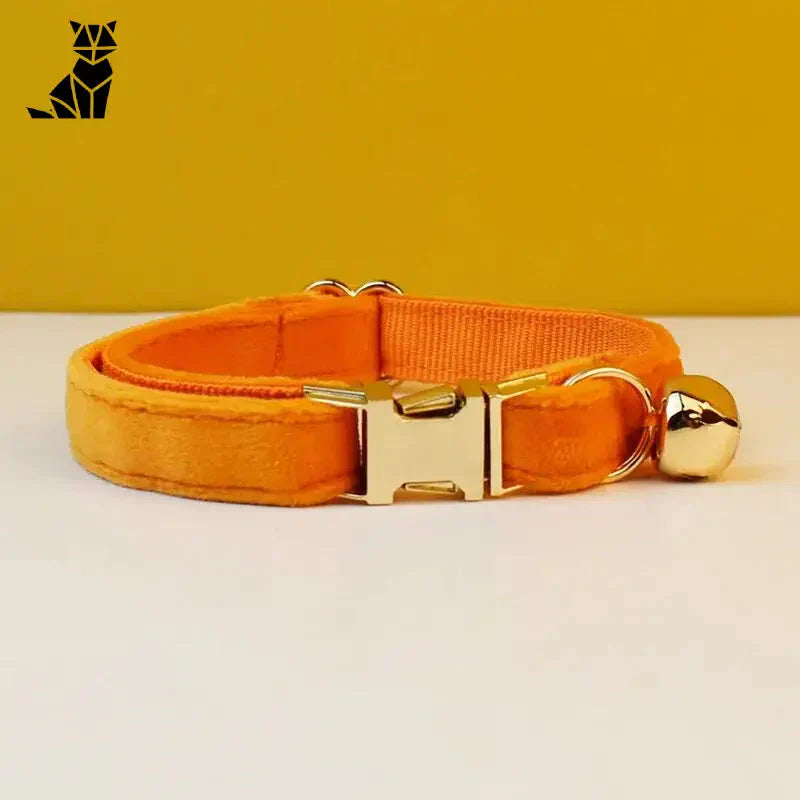 Collier velours personnalisé avec boucle en métal pour chat ou chien