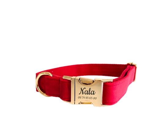 Collier Chien Personnalisé Velours Rouge Transparent Background