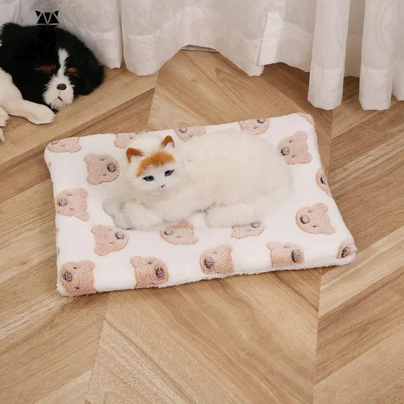 Chat douillet bénéficiant d’un confort optimal sur un lit pour chien avec couverture en flanelle douce