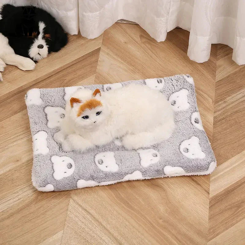 Chat profitant d’un confort optimal sur un lit pour chien blanc et moelleux avec couverture en flanelle douce