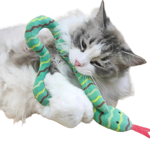 Jouet serpent amusant pour chats et chiens : Un cadeau idéal pour votre animal de compagnie - Jouet serpent, cadeau idéal, activité physique Transparent Background