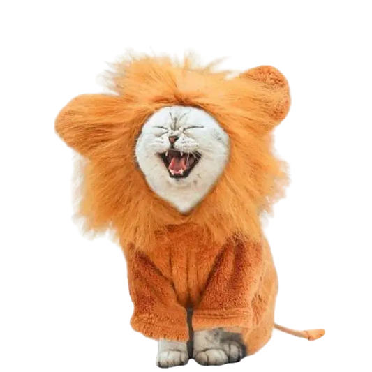 Chapeau pour Chat Lion Intégral Transparent Background