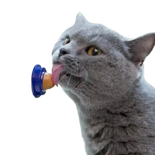 Friandise Pour Chat Delicecat™: Une Petite Douceur Pour Le Félin - Délicecat™ Transparent Background