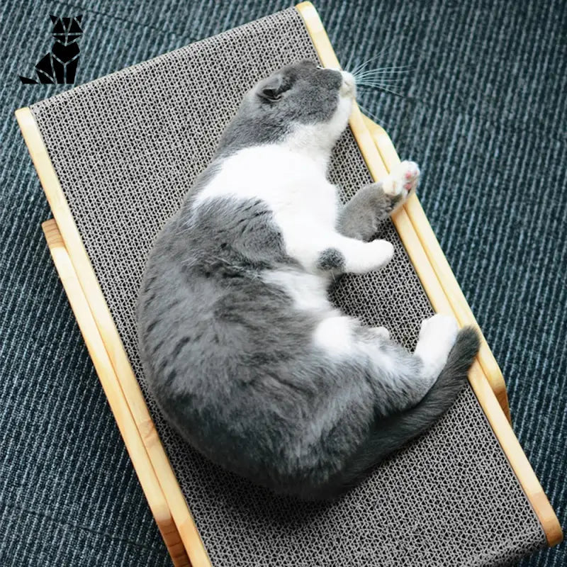 Chat dormant sur une chaise en bois dans un griffoir à chat : Indispensable pour satisfaire son besoin naturel