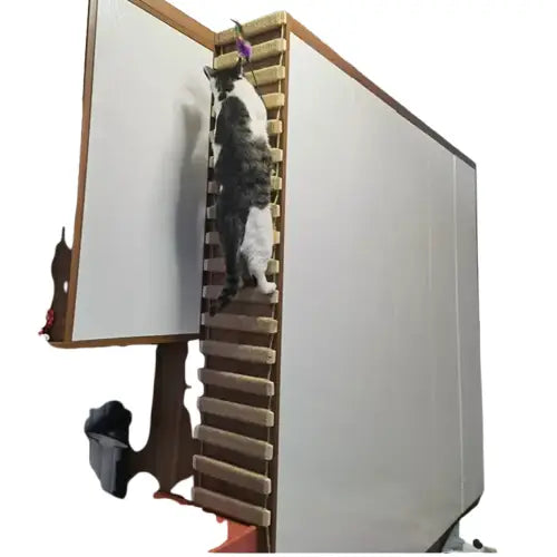 Griffoir mural pour chat - Espace d’activité vertical avec un chat grimpant sur une échelle dans une pièce Transparent Background