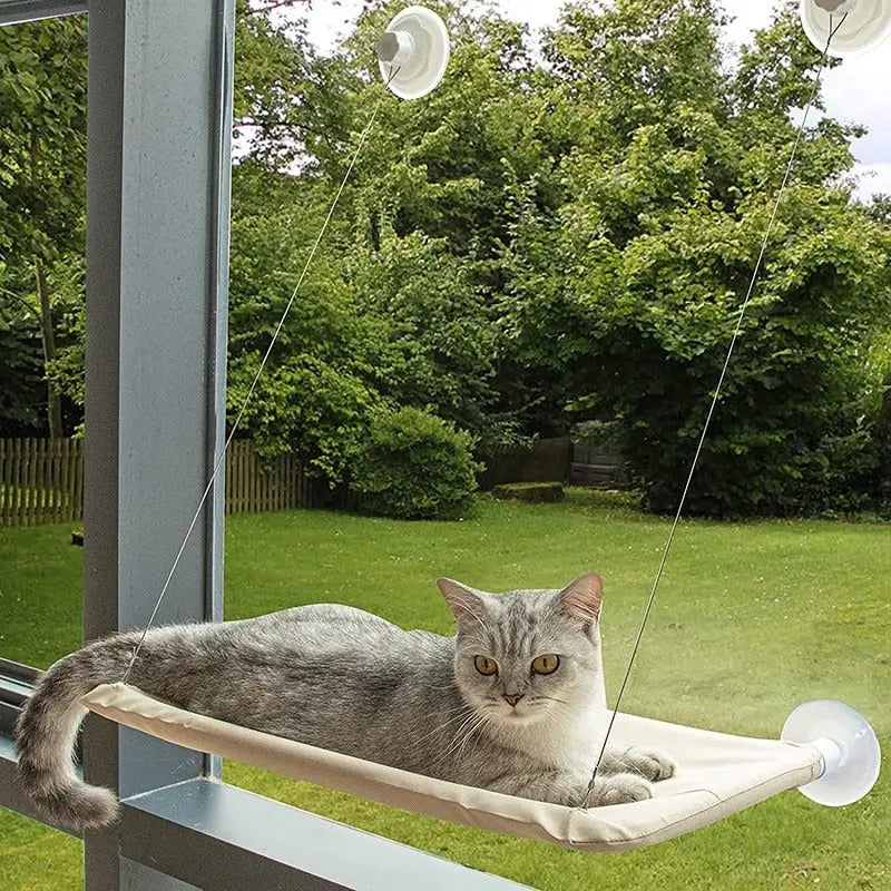 Chat se relaxant dans le coin douillet de Hamacat, un coin douillet parfait pour votre ami félin