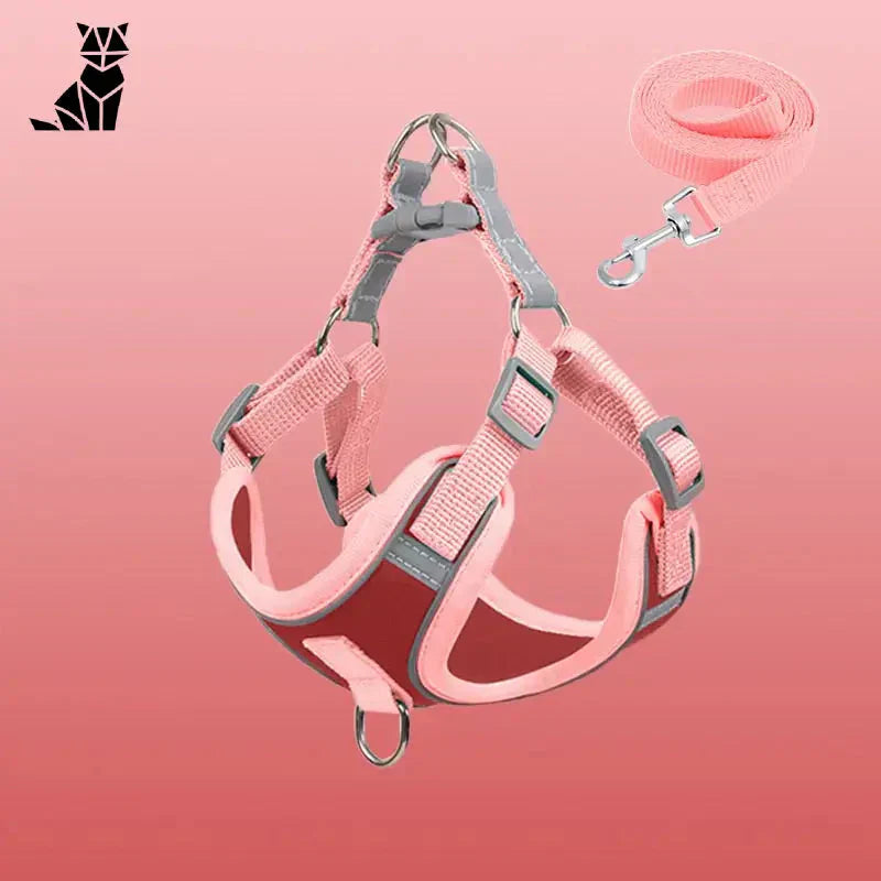 Harnais pour Chien Solide