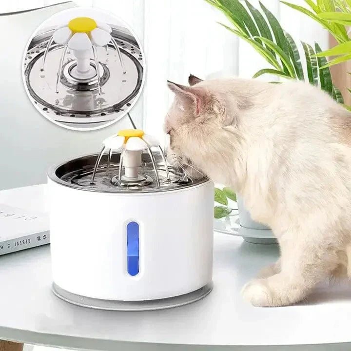 Chat hydraté avec fontaine à eau HydraCat - Fraîcheur et santé pour votre félin