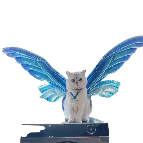 Chat assis sur le poêle dans le kit d’accessoires Butterfly pour la décoration des fêtes d’anniversaire Transparent Background
