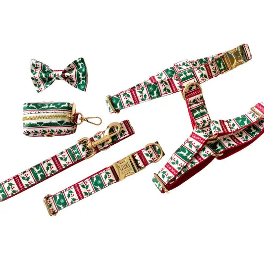 Laisse Coton Édition Spécial Noël Transparent Background