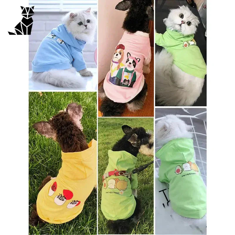 Gros plan sur un chat dans une chemise faisant la promotion de Warm Dog Coat with Hood - veste élégante pour animaux