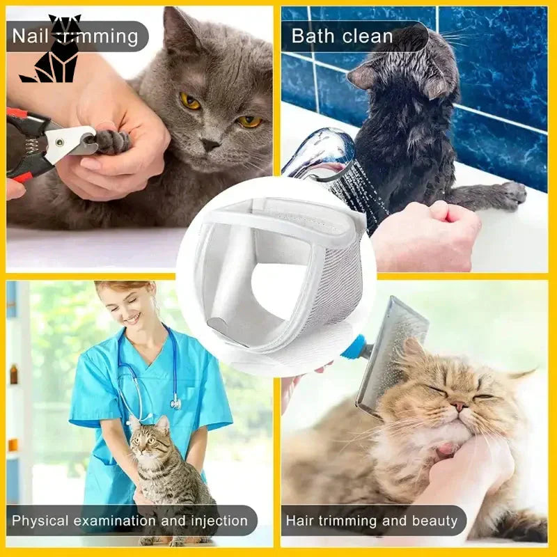 Muselière Transparente Confortable pour Chat pour Toilettage à Domicile avec Nettoyeur d’Oreilles