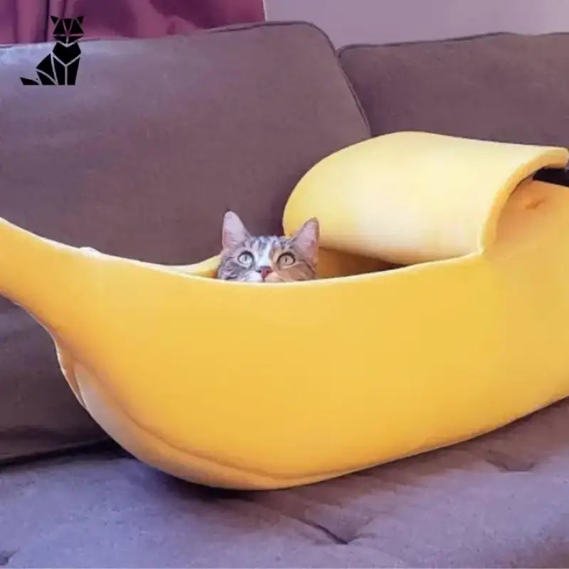 Panier Banane Pour Chat: Douceur Et Confort Pour Votre Félin