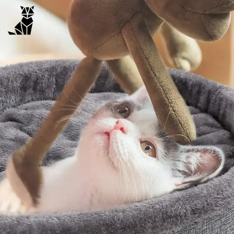 Panier Coeur Pour Un Sommeil Réparateur De Votre Chat Confortable