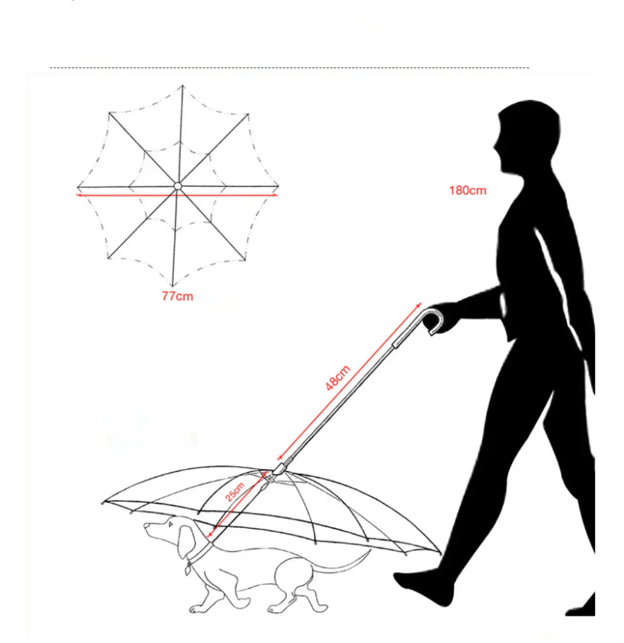 Parapluie pour Chien: La Révolution des Promenades