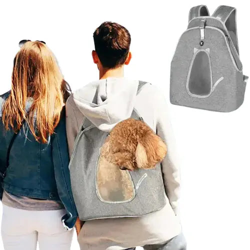 Couple se promenant sur un bateau avec son chien dans un sac à dos de transport pour animaux de compagnie - sécurité optimale Transparent Background