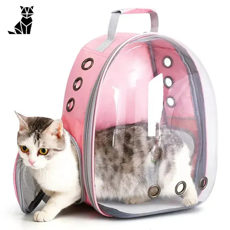 Cat enjoying panoramic view inside pink Astronaut Bubble Bag sac avec une vue panoramique