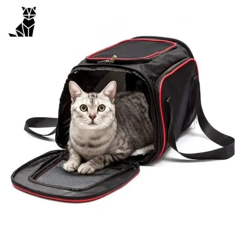 Sac De Voyage Classe Business Pour Chat: Confort Ultime En Voyage - Classe Business