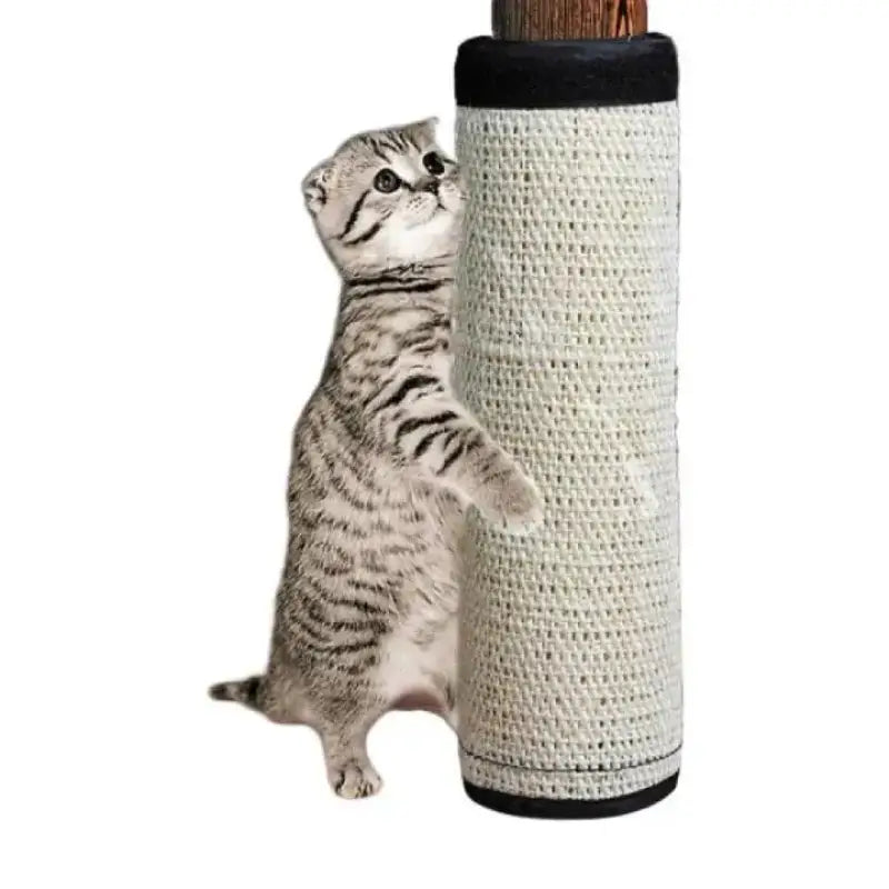 Tapis Griffoir Multi-usage: Protégez Vos Meubles Et Amusez Votre Chat - 40x30cm